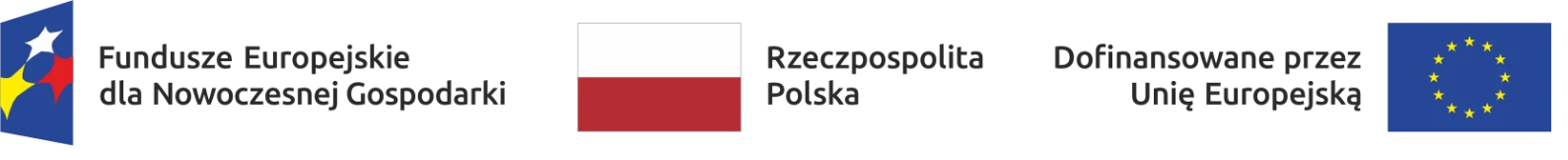 Fundusze Europejskie dla Nowoczesnej Gospodarki, Rzeczpospolita Polska, Dofinansowane przez Unię Europejską